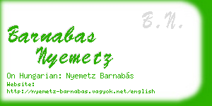 barnabas nyemetz business card